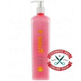 Шампунь Color Protect для фарбованого волосся Angel Professional